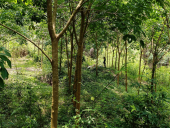 Công an xã Tân Hòa hỗ trợ một thanh niên tâm thần đi điều trị