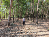 Muốn làm giàu phải áp dụng KHKT