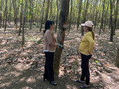 Nguồn vốn từ Chương trình hỗ trợ tạo việc làm đã giúp hàng trăm lao động trên địa bàn huyện Đồng Phú phát triển sản xuất, kinh doanh