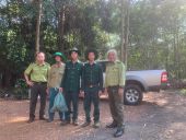 Thả 1 cá thể diều hoa Miến Điện về rừng tự nhiên