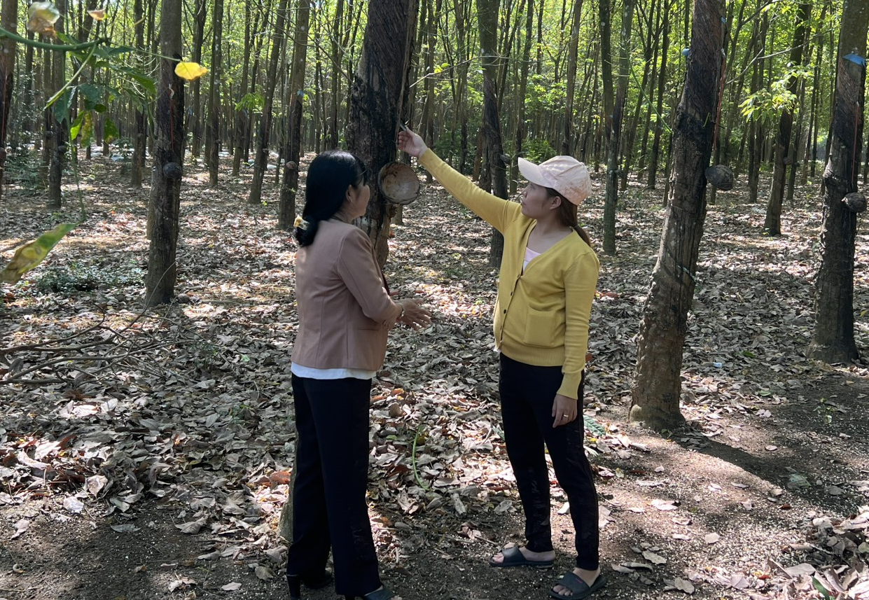 Hiệu quả từ nguồn vốn Hỗ trợ tạo việc làm trên địa bàn huyện Đồng Phú